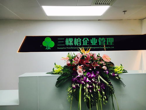 專業(yè)賦能，助力成長(zhǎng) 廣州三棵榕企業(yè)管理顧問(wèn)的價(jià)值與實(shí)踐
